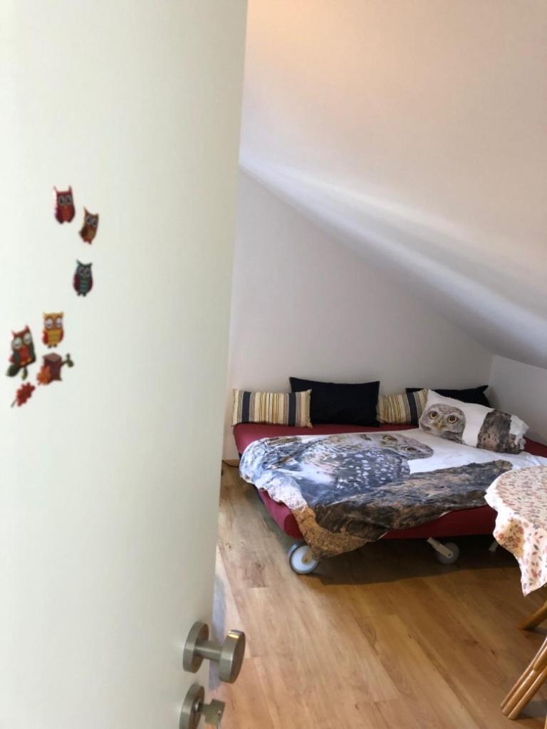 Ferienwohnung Eulennestle لينزكريش المظهر الخارجي الصورة